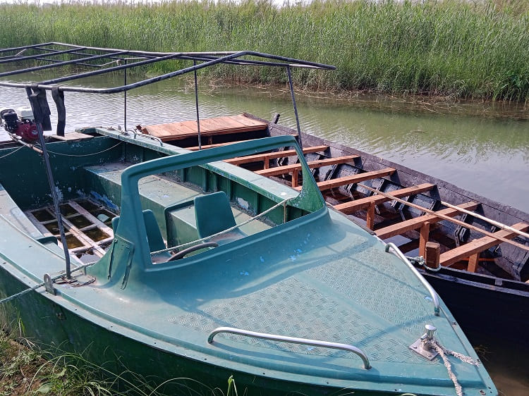 Boat safari in Katarniaghat