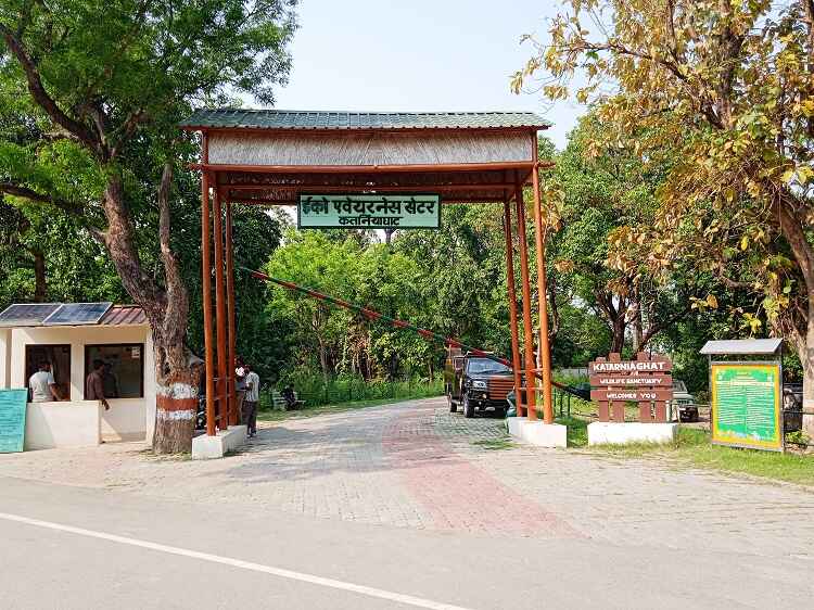 Why Katarniaghat is a Hidden Gem of Dudhwa Tiger Reserve