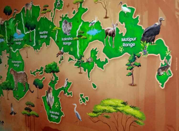 Wildlife species at katarniaghat