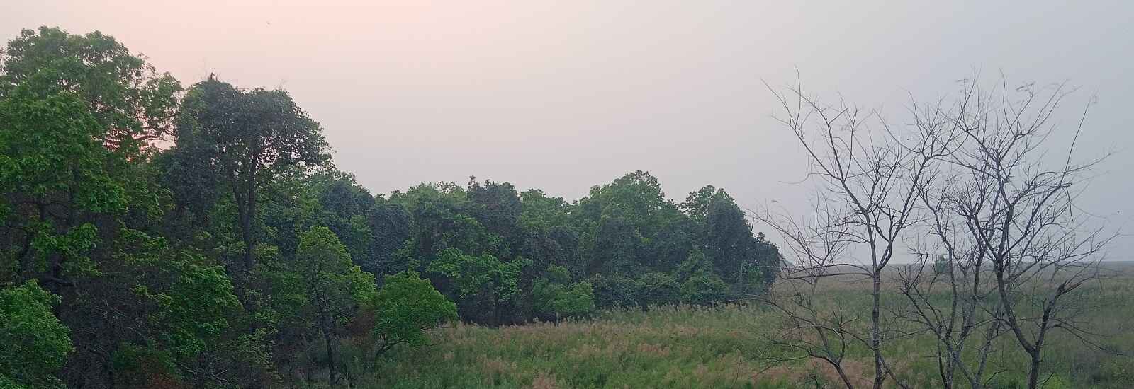 Katarniaghat Wildlife Sanctuary - Best Time To Visit