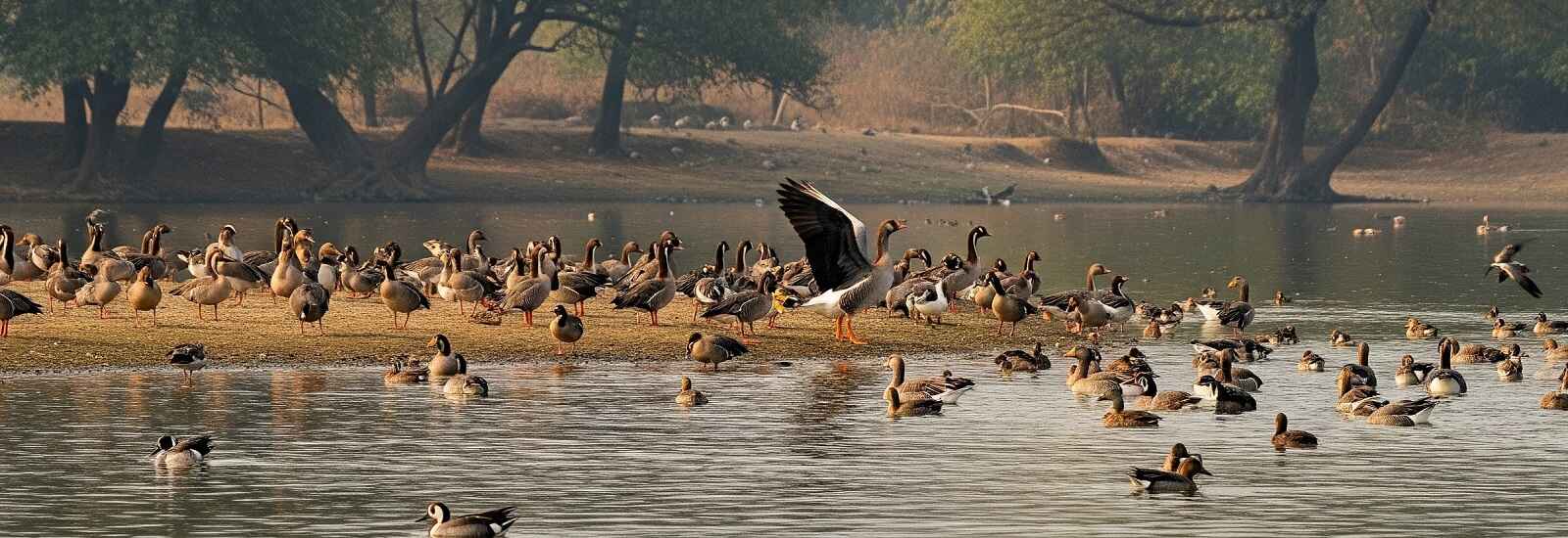 Travel Map to Katarniaghat Wildlife Sanctuary