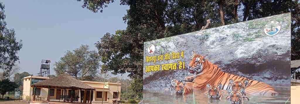 Discover Tiger territory at Kishanpur Wildlife Sanctuary