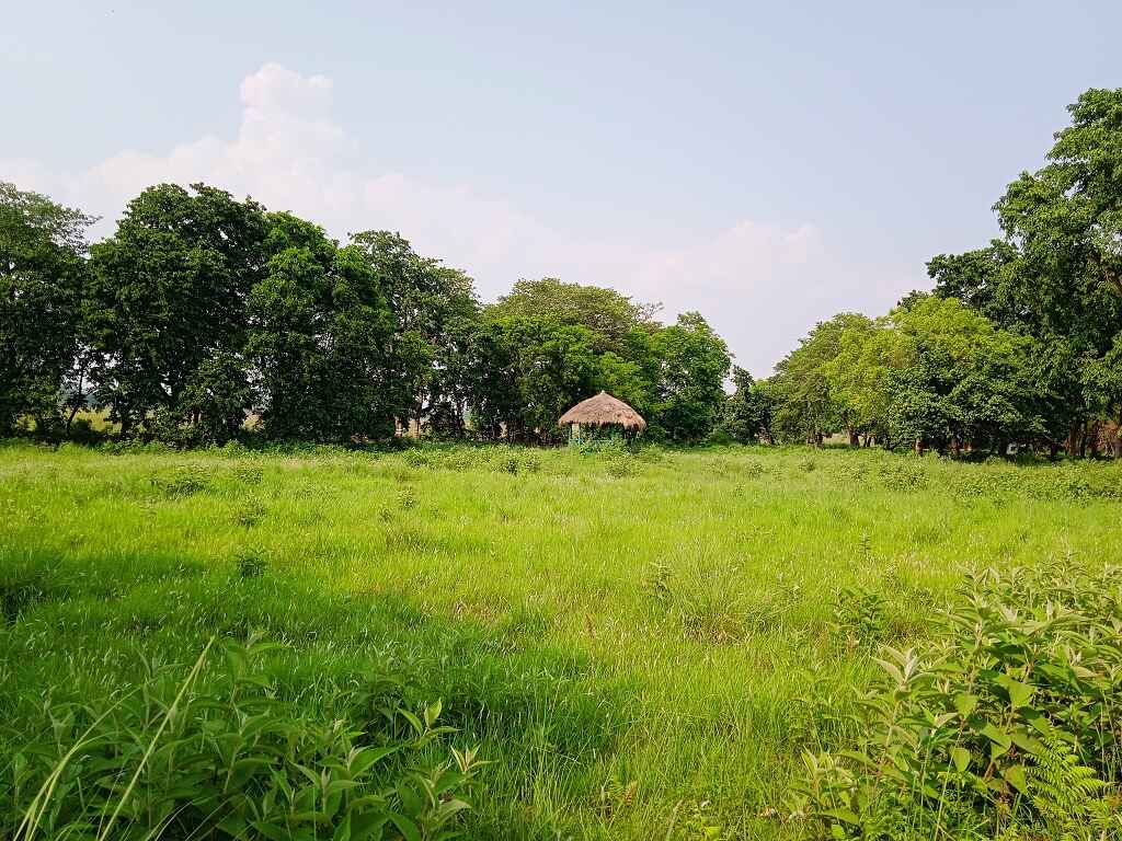 katarniaghat hut