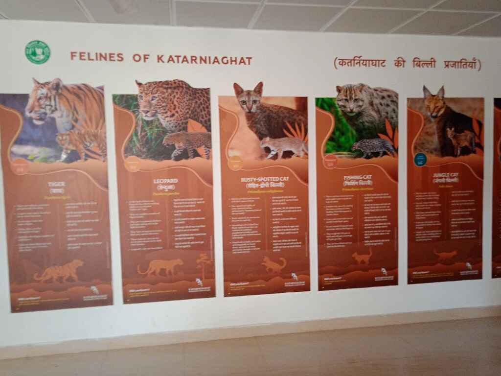 katarniaghat interpretation centre cat
