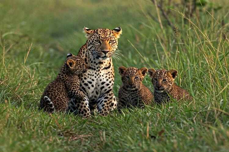Katarniaghat 1 Night & 2 Days Tour Packages